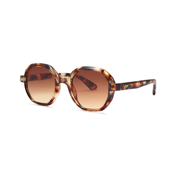 tortoise hexagon trendy sunglasses