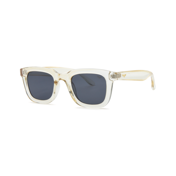 clear wayfarer sunglasses