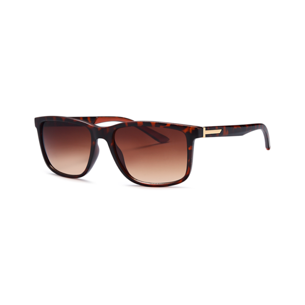 Tortoiseshell sunglasses with gradient brown lenses and a gold accent on the temple arms, angled side view.