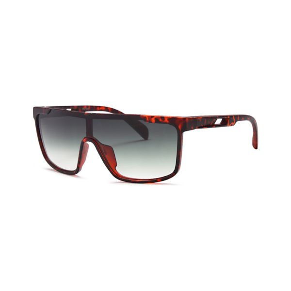tortoise shield sunglasses