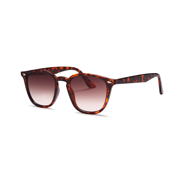 women's cat eye sunglasses